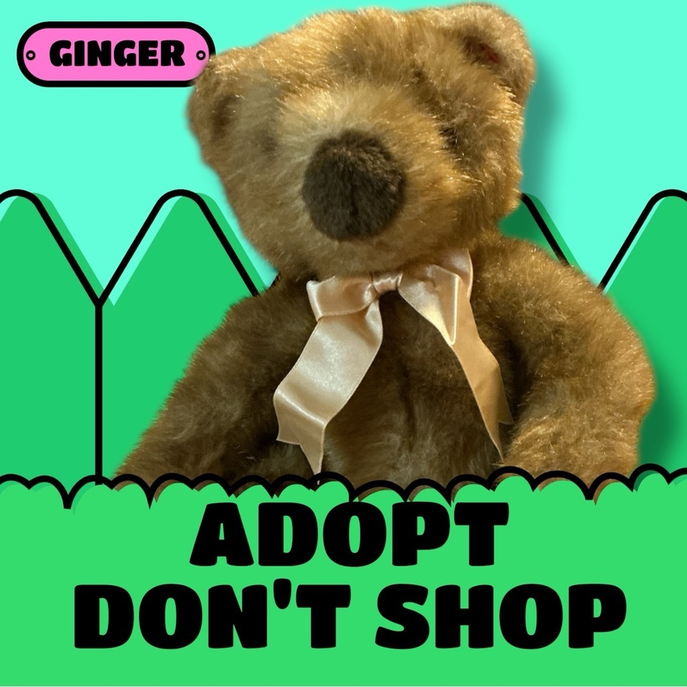 VTG TY CLASSIC 1996 “BABY GINGER” BROWN BEAR